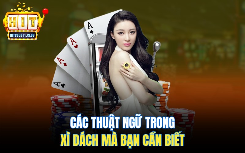 Các thuật ngữ trong Xì dách mà bạn cần biết