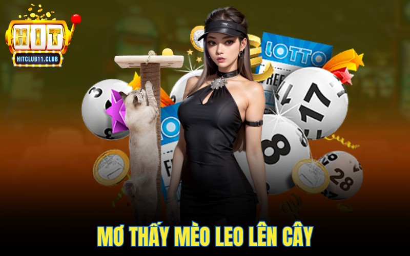Mơ thấy mèo leo lên cây