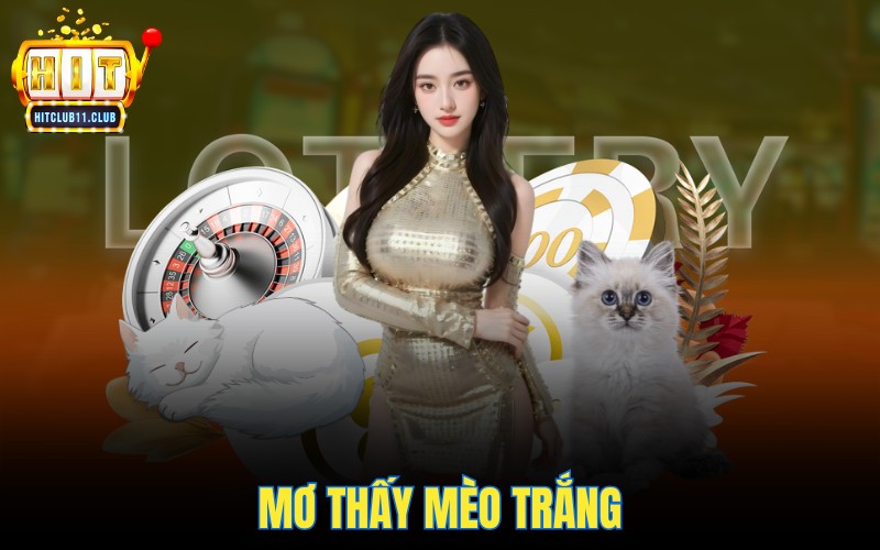 Mơ thấy mèo trắng