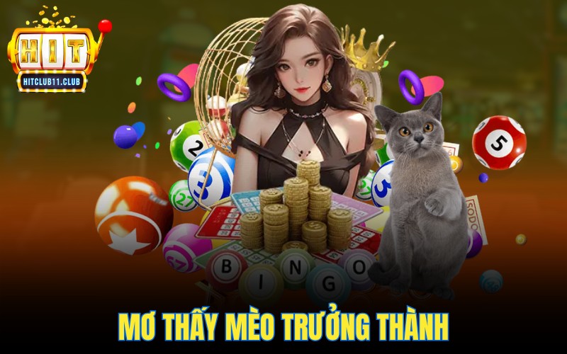 Mơ thấy mèo trưởng thành